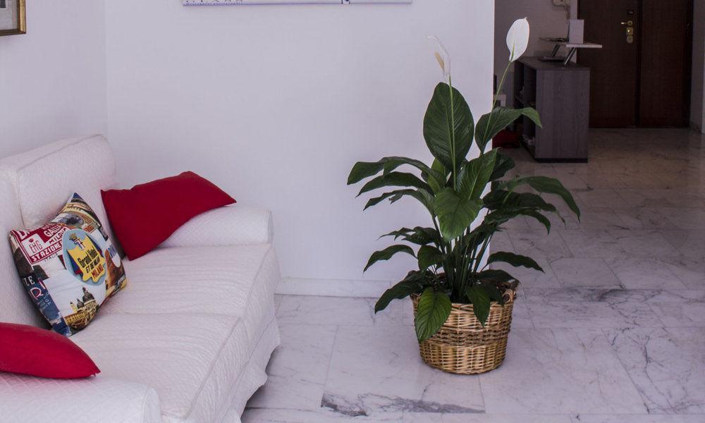 Domus Raffaello Bed & Breakfast โรม ภายนอก รูปภาพ